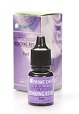 Light Cure One Step Dentin/Enamel Bonding Adhesive