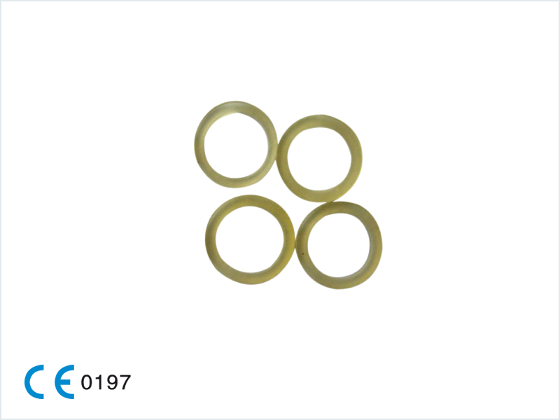 Orthodontic Elastics